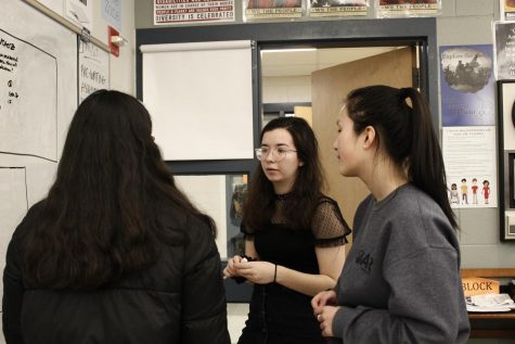 Dina Zeldin of The Lions Roar at Newton South discusses stories for the papers February issue. Zeldin was named the Massachusetts High School Journalist of the Year Tuesday. Photo by Dorothy Dolan.  